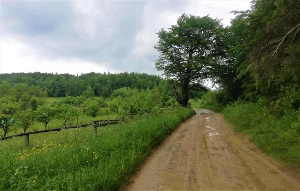 Львівщина для активних туристів: ідеї для піших походів у гори – Тустань, Східниця, Орів 117 Погода на Львівщині вельми мінлива, особливо в горах / фото Марина Григоренко