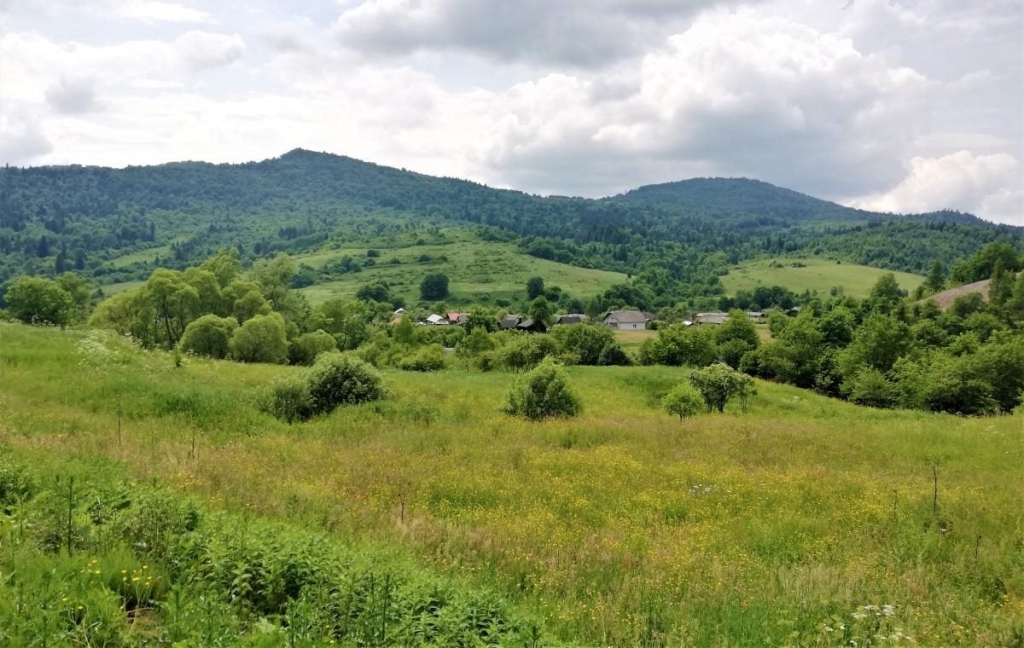 Львівщина для активних туристів: ідеї для піших походів у гори – Тустань, Східниця, Орів 17 Львівщина для активних туристів: ідеї для піших походів у гори – Тустань, Східниця, Орів