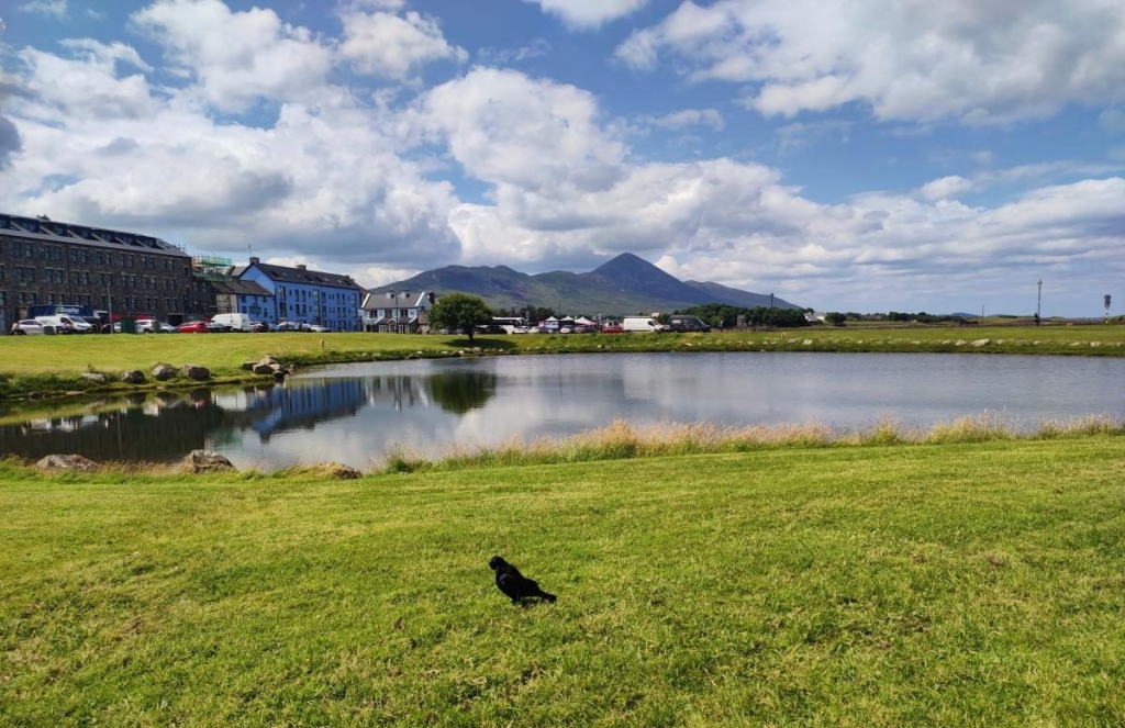 Маленька Ірландія: ідеалістичне містечко Вестпорт посеред дивовижної природи 10 Маленька Ірландія: ідеалістичне містечко Вестпорт посеред дивовижної природи