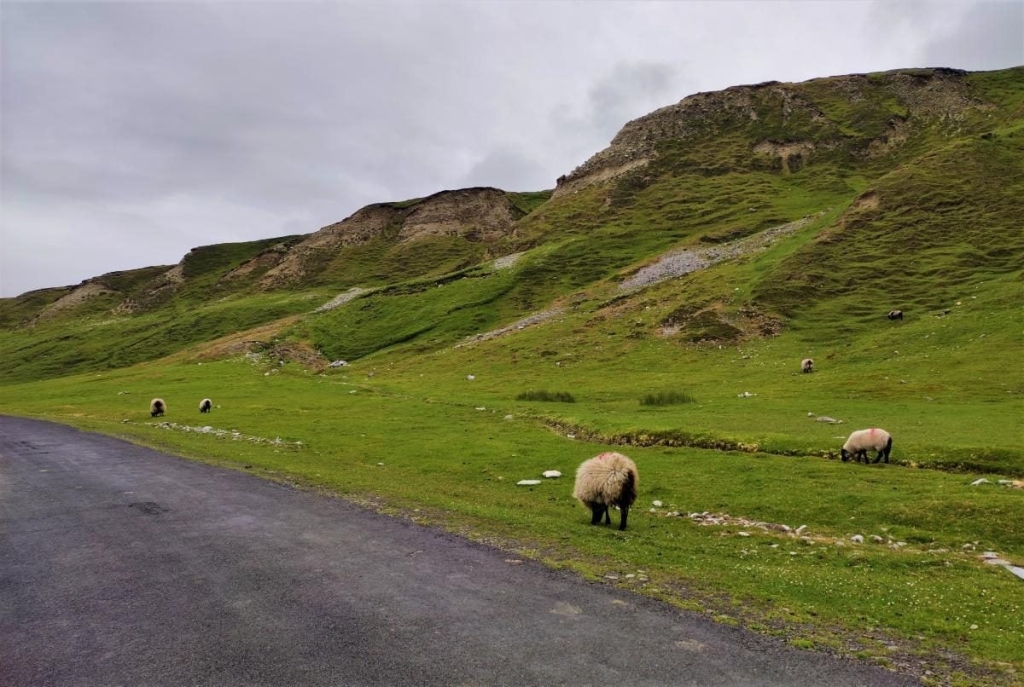 Маленька Ірландія: ідеалістичне містечко Вестпорт посеред дивовижної природи 36 Маленька Ірландія: ідеалістичне містечко Вестпорт посеред дивовижної природи