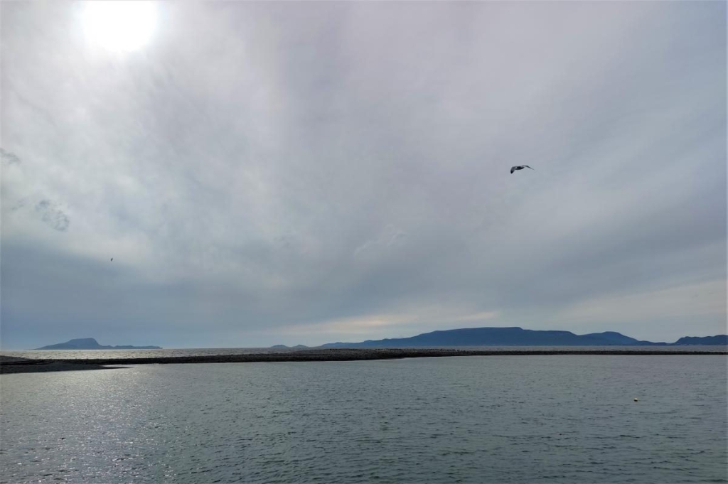 Маленька Ірландія: ідеалістичне містечко Вестпорт посеред дивовижної природи 25 Маленька Ірландія: ідеалістичне містечко Вестпорт посеред дивовижної природи