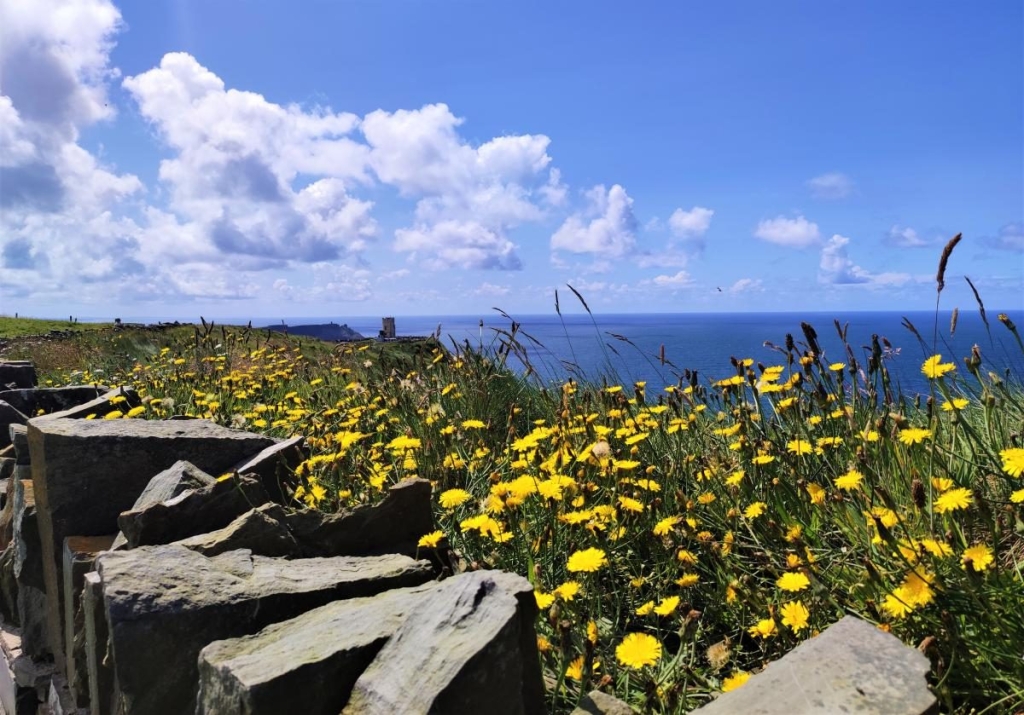 Мальовничі скелі Могер, або Ірландія "як в кіно" 21 Мальовничі скелі Могер, або Ірландія "як в кіно"
