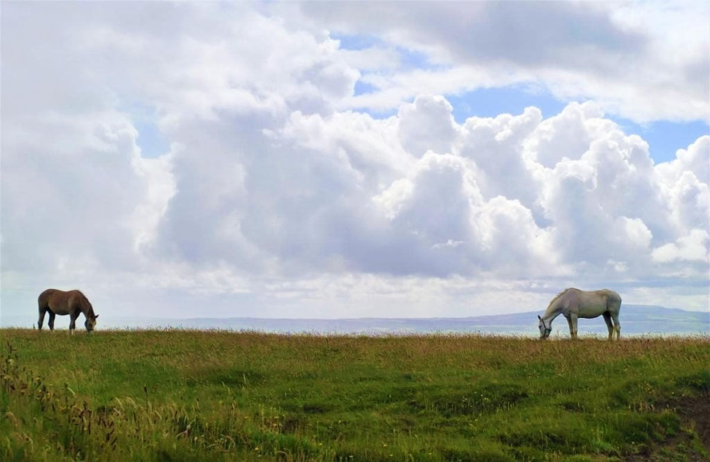 Мальовничі скелі Могер, або Ірландія "як в кіно" 11 Мальовничі скелі Могер, або Ірландія "як в кіно"