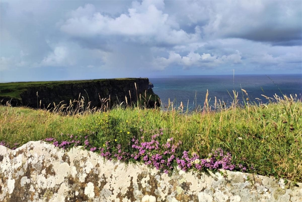 Мальовничі скелі Могер, або Ірландія "як в кіно" 7 Мальовничі скелі Могер, або Ірландія "як в кіно"
