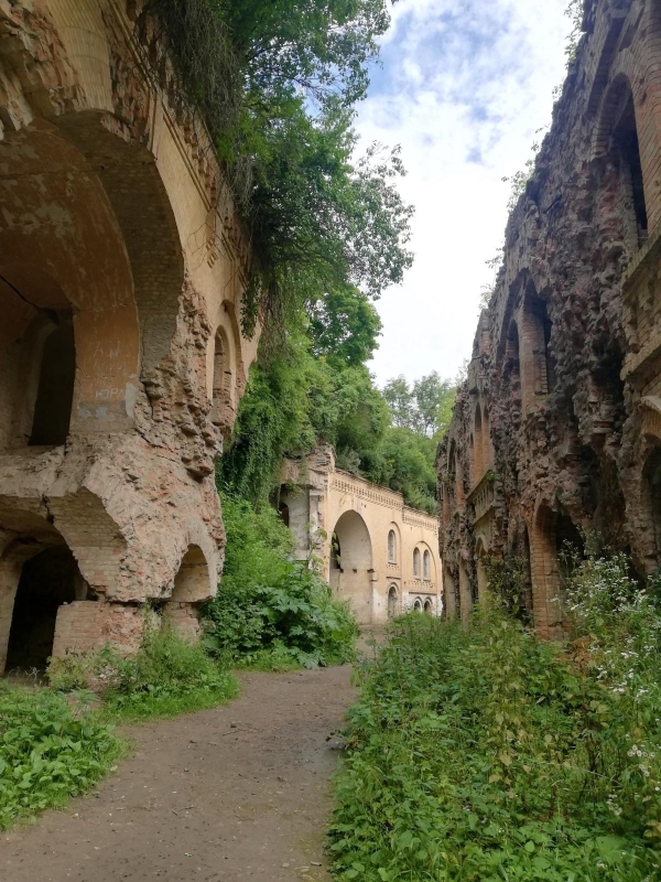 Містичний ліс Містичний ліс в Україні - ідеальне місце для святкування Геловіну 2026.