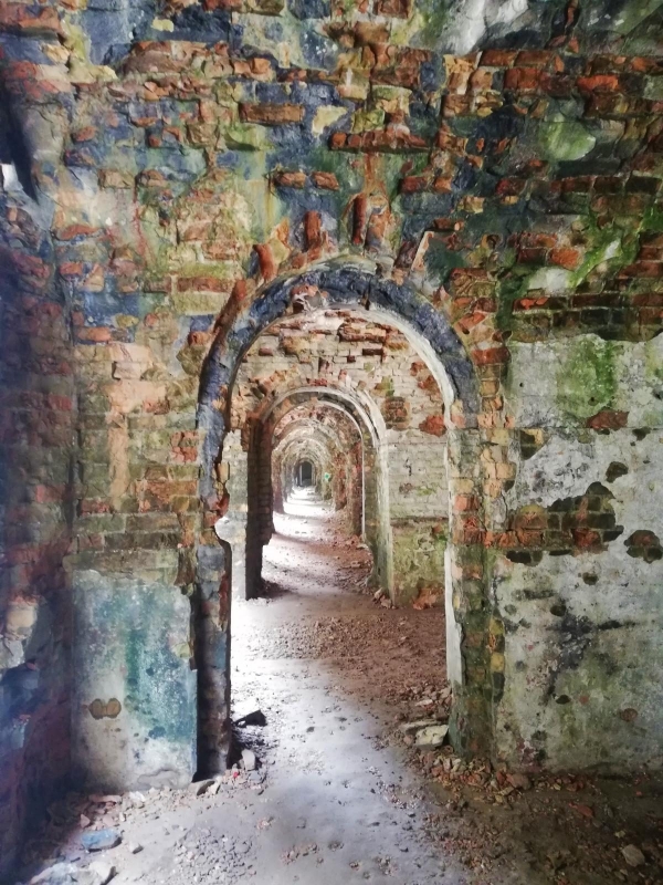 Замки з привидами Замок з привидами в Україні - ідеальне місце для містичного туризму на Геловін 2026