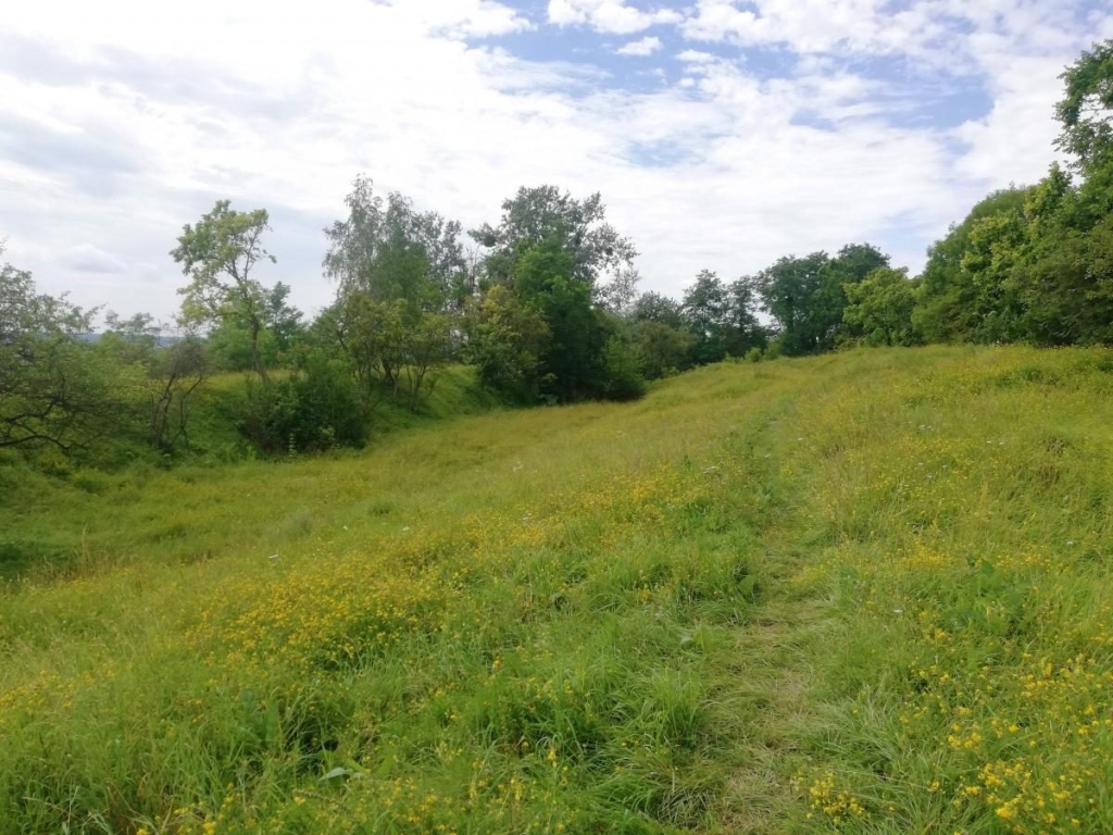 Геловін: відгуки і ціни Загадкові місця України для незабутнього Геловіну 2026: відгуки та ціни