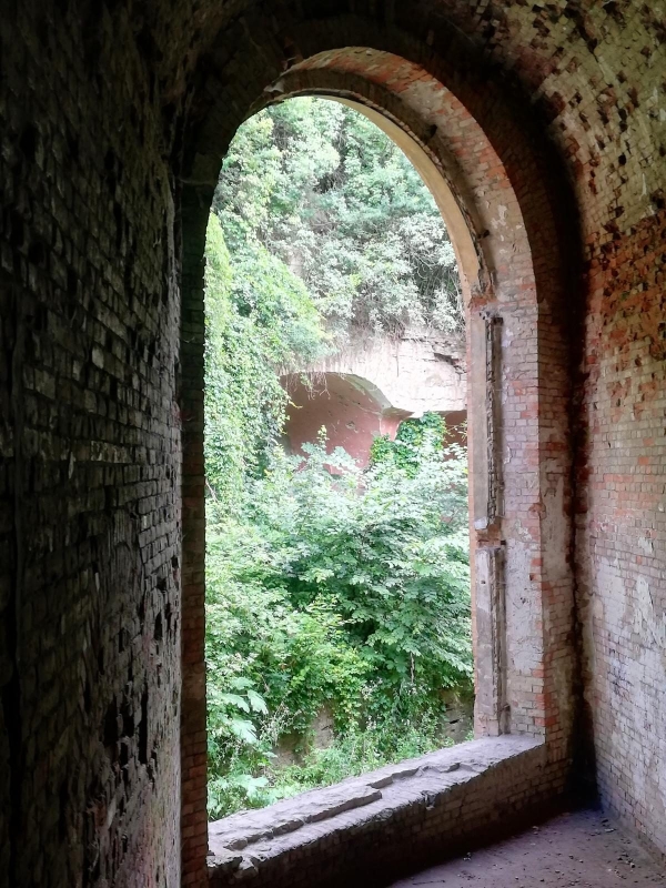 Личаківський цвинтар Личаківський цвинтар: екскурсія у світ тіней на Геловін 2026 в Україні