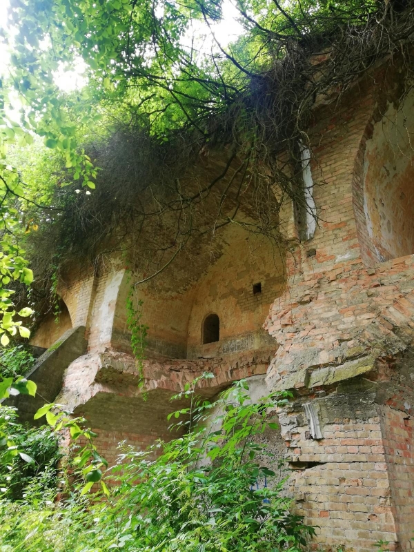 Руїни замку Руїни старовинного замку в Україні - місце для містичного туризму 2026.