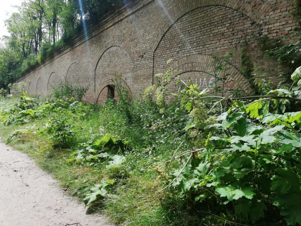 Геловін в Україні Містичне місце в Україні, ідеальне для святкування Геловіну 2026: атмосферний пейзаж.