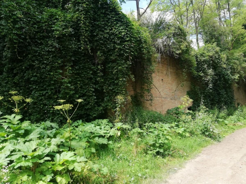 Екскурсія на цвинтар Личаківський цвинтар у Львові: екскурсія містичними місцями на Геловін 2026.