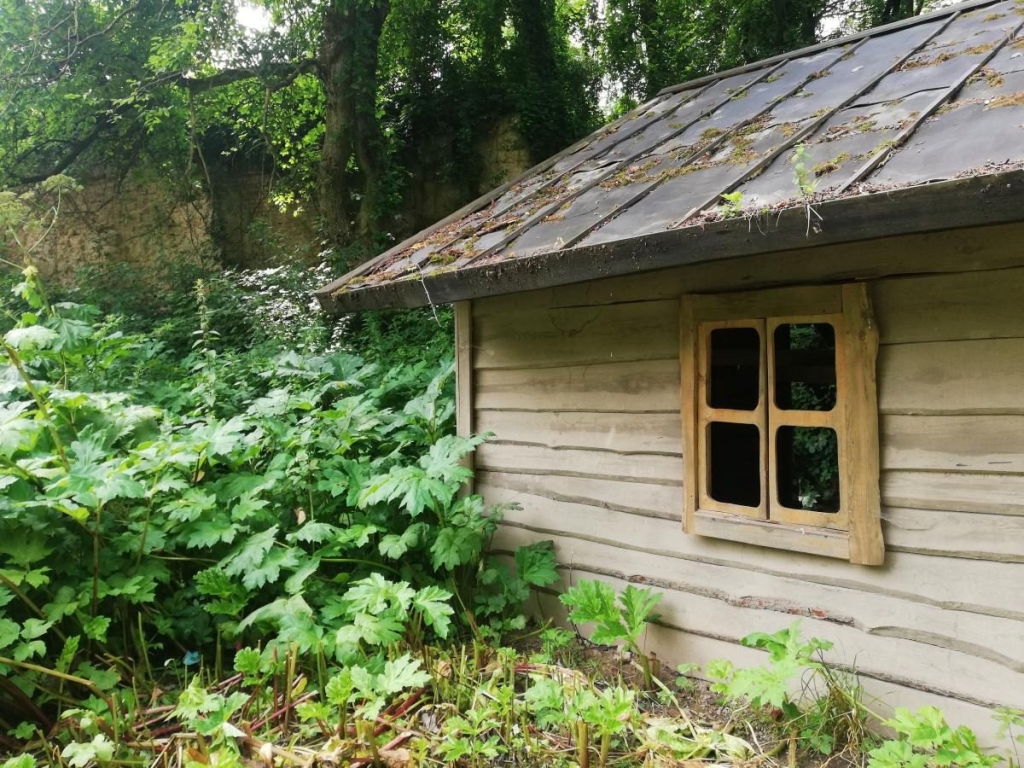 Замок з привидами Замок з привидами в Україні - ідеальне місце для містичного туризму на Геловін 2026.