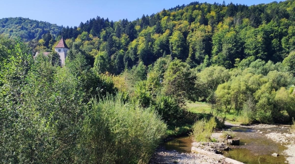 На Львівщині розвалюється закинутий костел, який так і не був освячений (фото, відео) 8 На Львівщині розвалюється закинутий костел, який так і не був освячений (фото, відео)