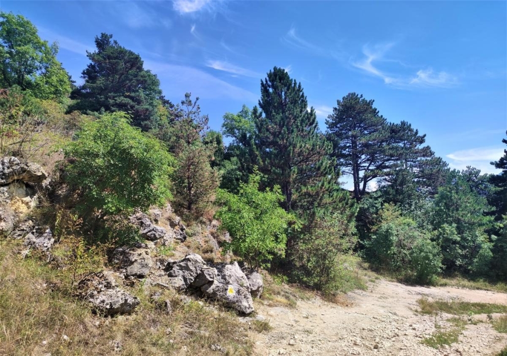 Не тільки замок Дракули: чим туристів приваблює трансільванське місто Брашов 49 Не тільки замок Дракули: чим туристів приваблює трансільванське місто Брашов