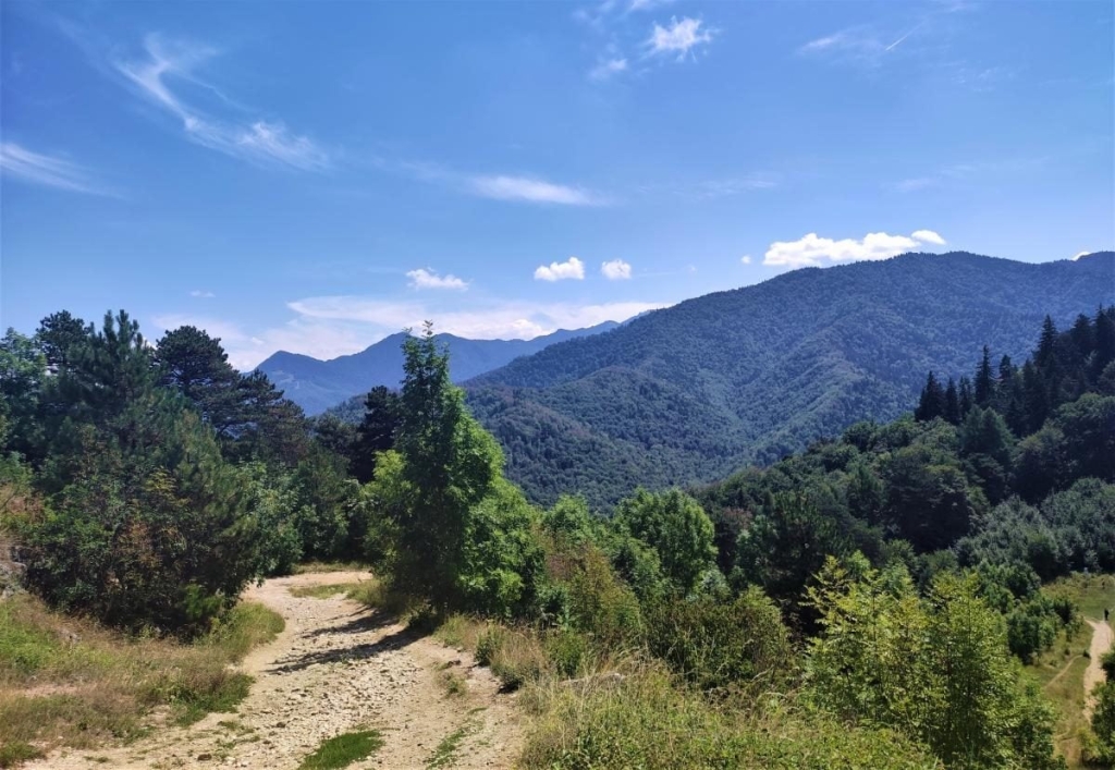 Не тільки замок Дракули: чим туристів приваблює трансільванське місто Брашов 48 Не тільки замок Дракули: чим туристів приваблює трансільванське місто Брашов