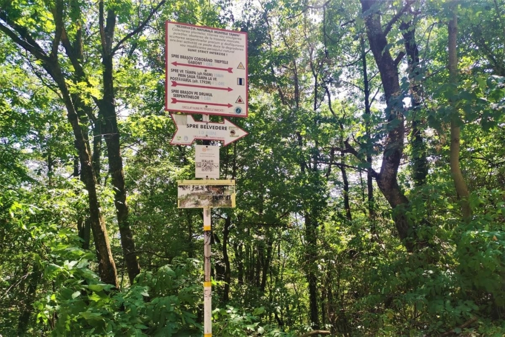 Не тільки замок Дракули: чим туристів приваблює трансільванське місто Брашов 40 Не тільки замок Дракули: чим туристів приваблює трансільванське місто Брашов