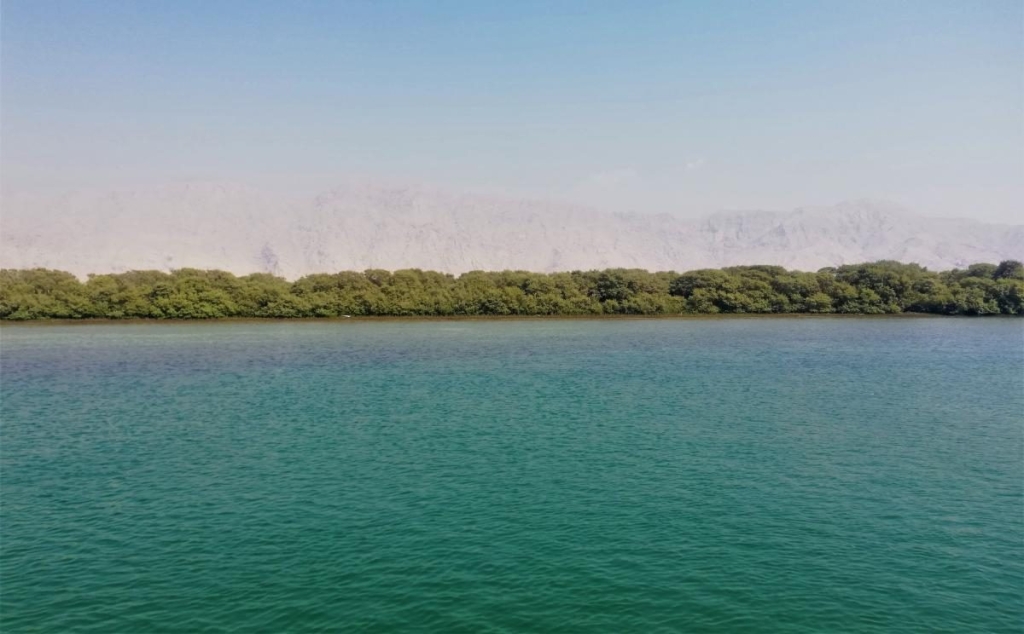 Незвідані Емірати: велич і спокій Рас-ель-Хайми 137 Незвідані Емірати: велич і спокій Рас-ель-Хайми