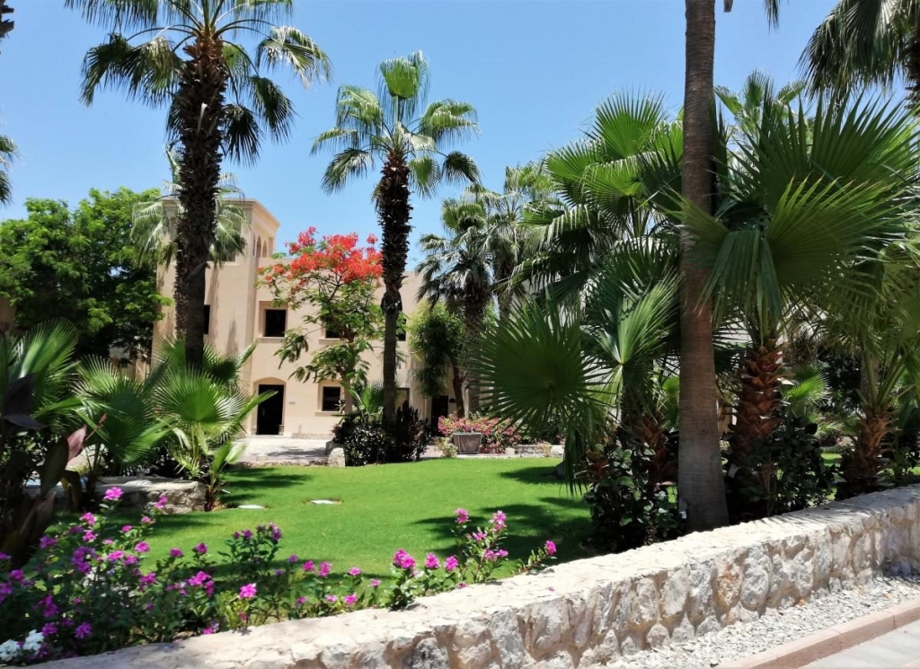 Незвідані Емірати: велич і спокій Рас-ель-Хайми 21 Незвідані Емірати: велич і спокій Рас-ель-Хайми