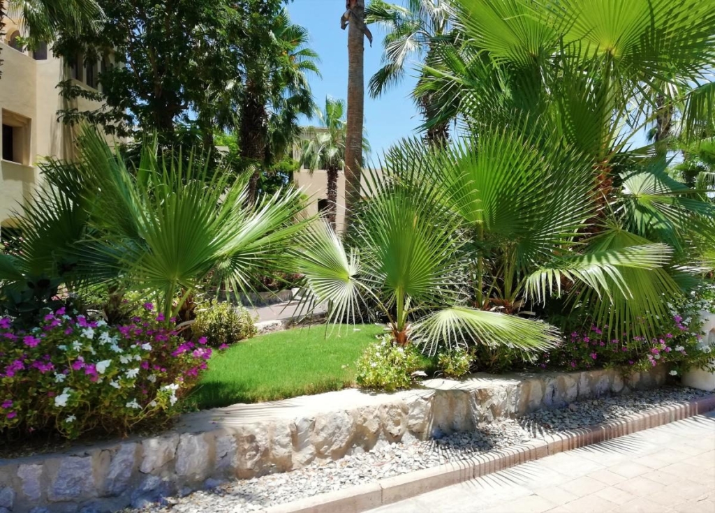 Незвідані Емірати: велич і спокій Рас-ель-Хайми 20 Незвідані Емірати: велич і спокій Рас-ель-Хайми