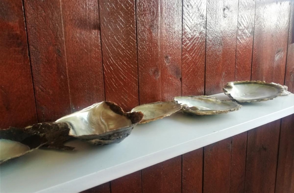 Незвідані Емірати: велич і спокій Рас-ель-Хайми 110 Незвідані Емірати: велич і спокій Рас-ель-Хайми