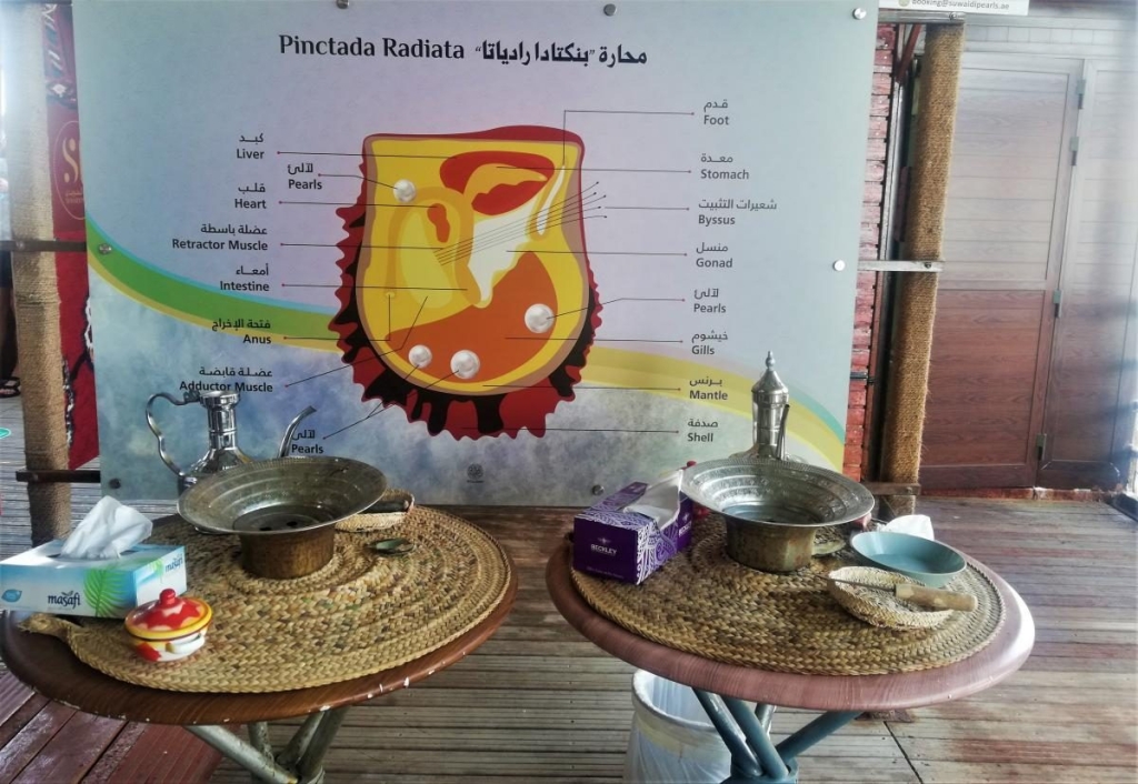 Незвідані Емірати: велич і спокій Рас-ель-Хайми 109 Незвідані Емірати: велич і спокій Рас-ель-Хайми