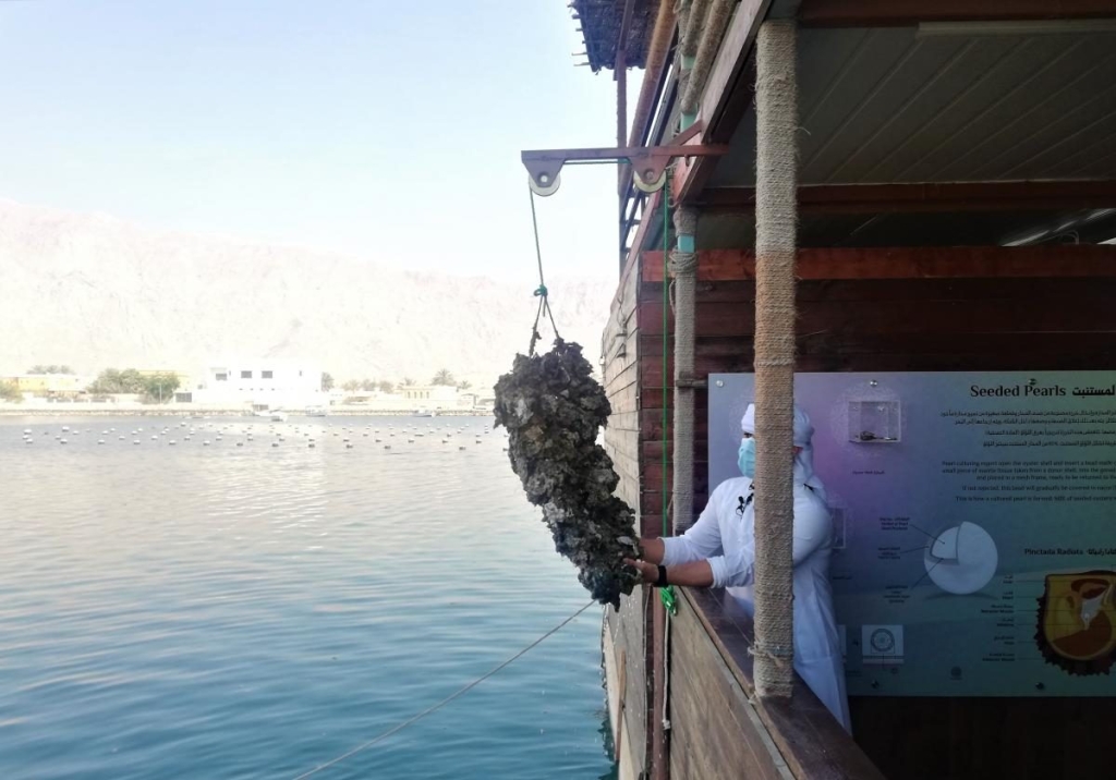 Незвідані Емірати: велич і спокій Рас-ель-Хайми 117 Незвідані Емірати: велич і спокій Рас-ель-Хайми