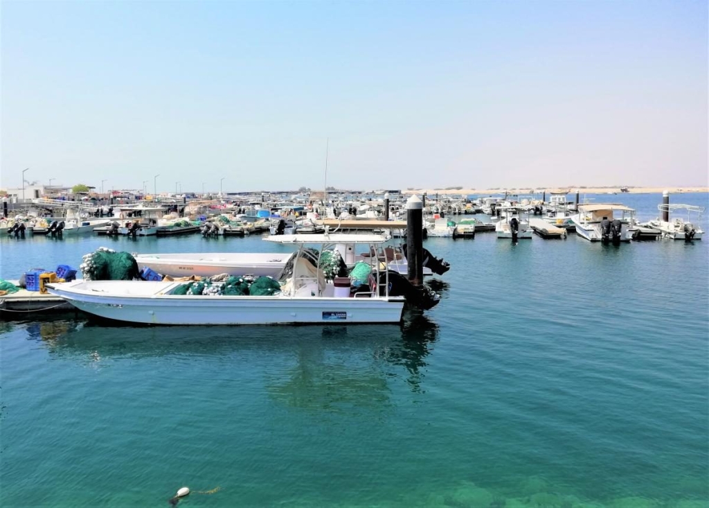 Незвідані Емірати: велич і спокій Рас-ель-Хайми 126 Незвідані Емірати: велич і спокій Рас-ель-Хайми