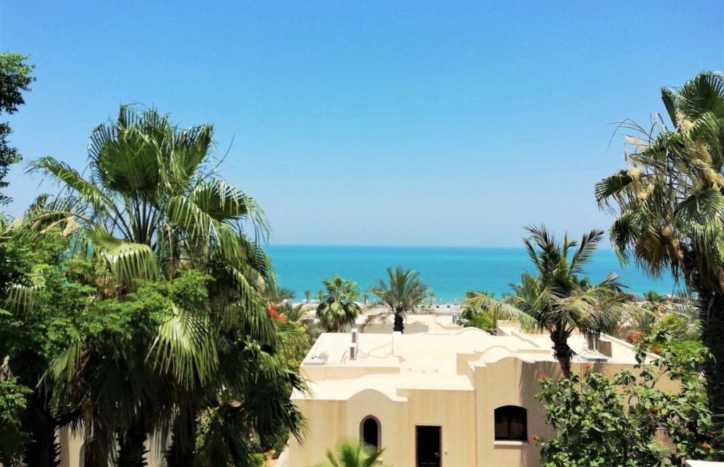 Незвідані Емірати: велич і спокій Рас-ель-Хайми 17 Незвідані Емірати: велич і спокій Рас-ель-Хайми