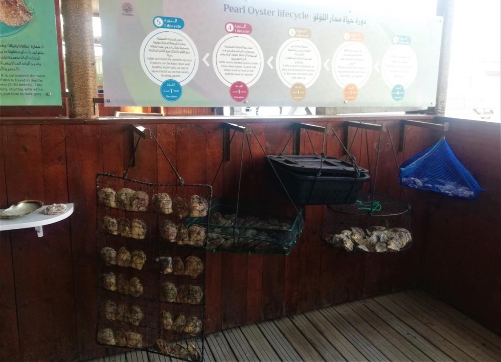 Незвідані Емірати: велич і спокій Рас-ель-Хайми 111 Незвідані Емірати: велич і спокій Рас-ель-Хайми