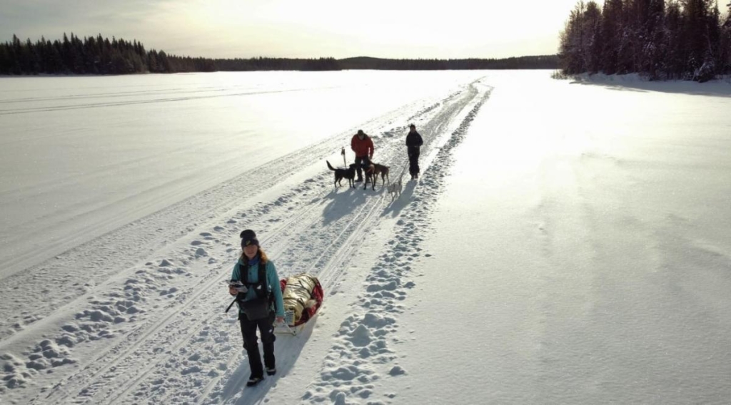 Подорож до Арктики: дістатися полярного кола, побачити північне сяйво і пробігти крижаний марафон 8 Так виглядає подорож Арктикою / фото Facebook-сторінка Любові Бойко