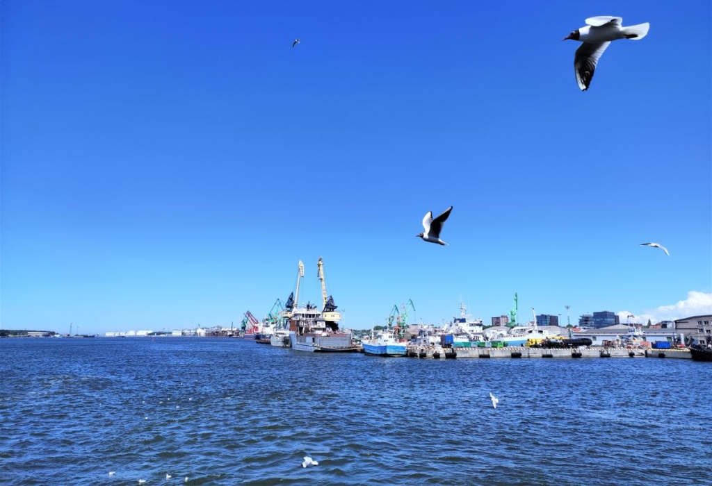 Дорога до пляжу Дорога на поромі до пляжу Смілтине, що займає 5-10 хвилин, з морським пейзажем у Литві