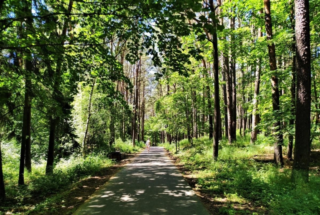 Транспорт до Клайпеди Зручний транспортний засіб біля центрального вокзалу Клайпеди, Литва, 2026