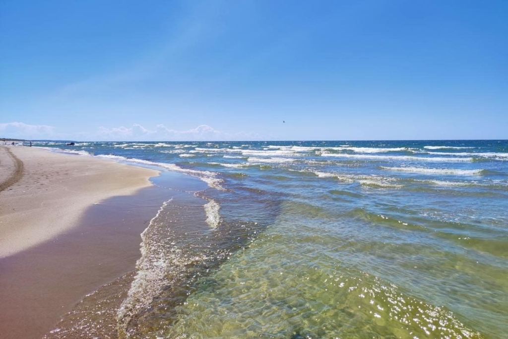 Туристичний транспорт Екскурсійний автобус, що курсує по визначних пам’ятках Клайпеди з туристами 2026 року