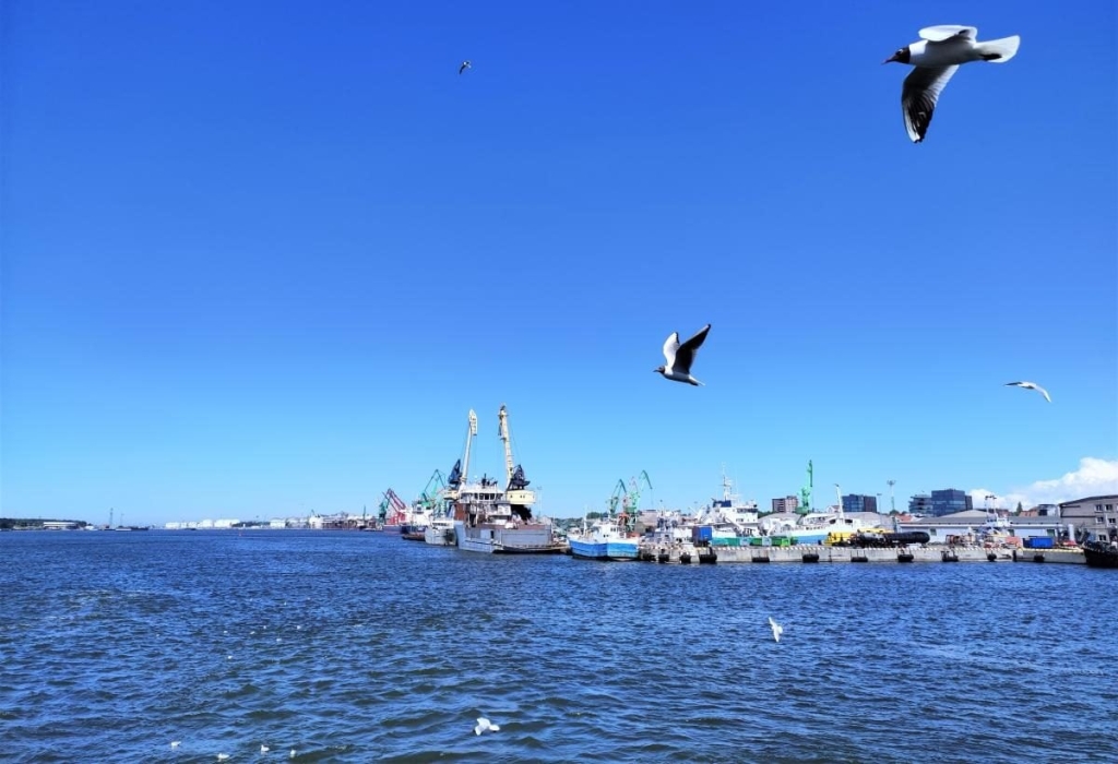 Місцевий ринок Вуличний ринок у центрі Клайпеди з яскравими торговими ларьками, 2026