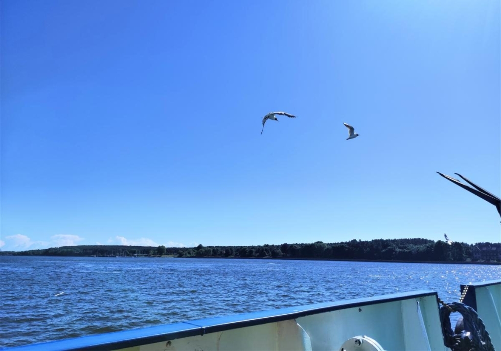 Кафе у Клайпеді Модний кафе з видом на центральну площу Клайпеди, популярне для відпочинку туристів 2026 року