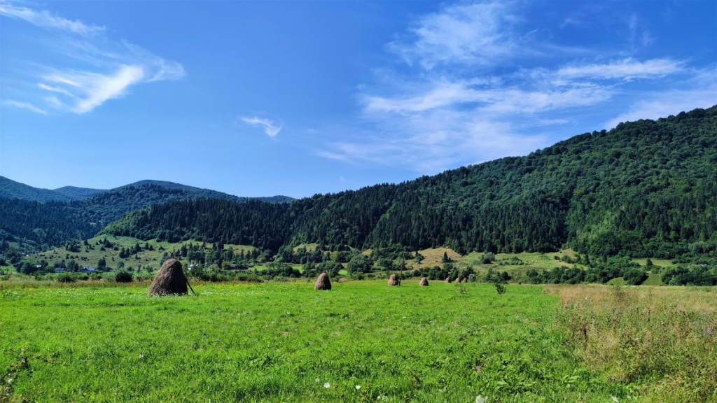 Похід зі Східниці до Урича: легше пройти ніж доїхати 17 Карпатські краєвиди між Рибником та Довгим / фото Марина Григоренко