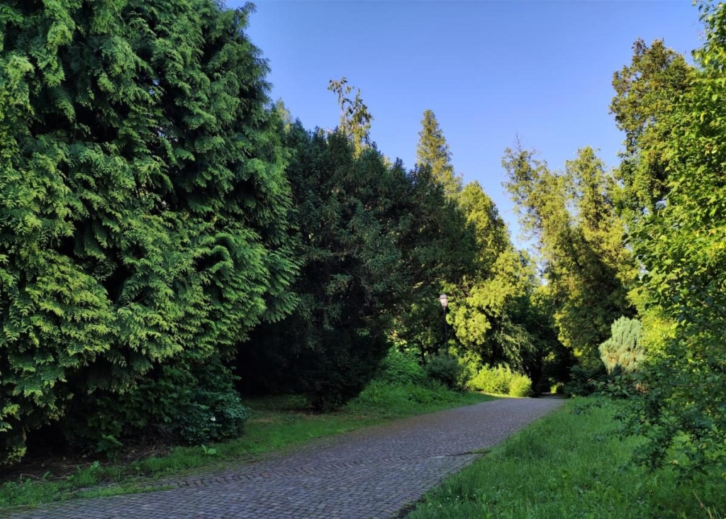 Польський Перемишль: "ворота в Європу" для українців 29 Польський Перемишль: "ворота в Європу" для українців