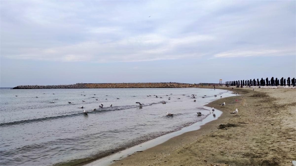 Приємна несподіванка: чому українцям варто звернути увагу на чорноморські пляжі Румунії 7 Приємна несподіванка: чому українцям варто звернути увагу на чорноморські пляжі Румунії