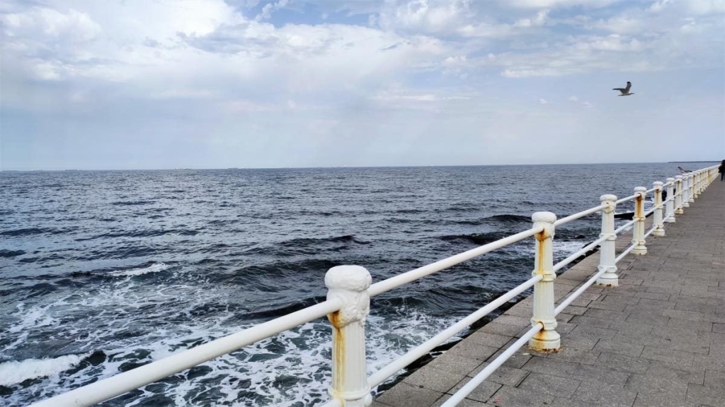 Приємна несподіванка: чому українцям варто звернути увагу на чорноморські пляжі Румунії 43 Приємна несподіванка: чому українцям варто звернути увагу на чорноморські пляжі Румунії