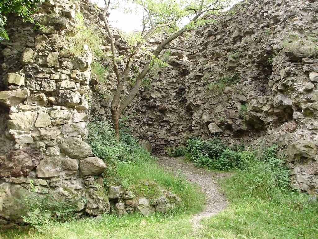 Секретні фортеці Закарпаття: маловідомі замки, яких немає у путівниках Секретні фортеці Закарпаття: маловідомі замки, яких немає у путівниках 3