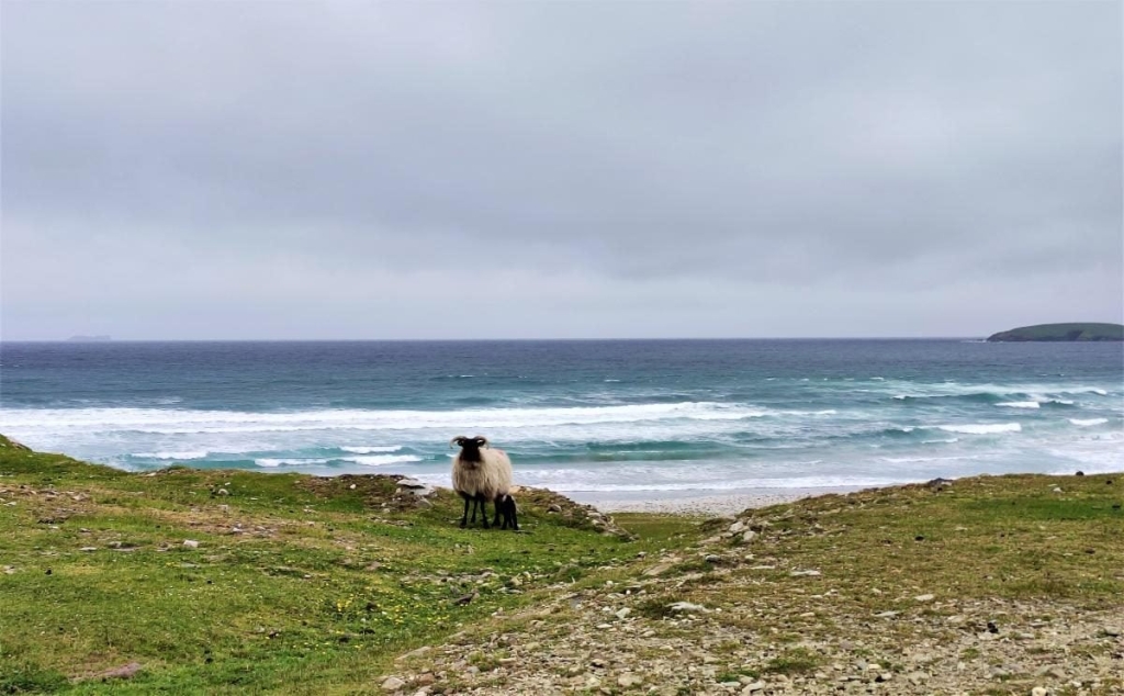 Кайтсерфінг у Ірландії Кайтсерфер, що насолоджується вітром на березі з природною красою Ірландії у 2026 році