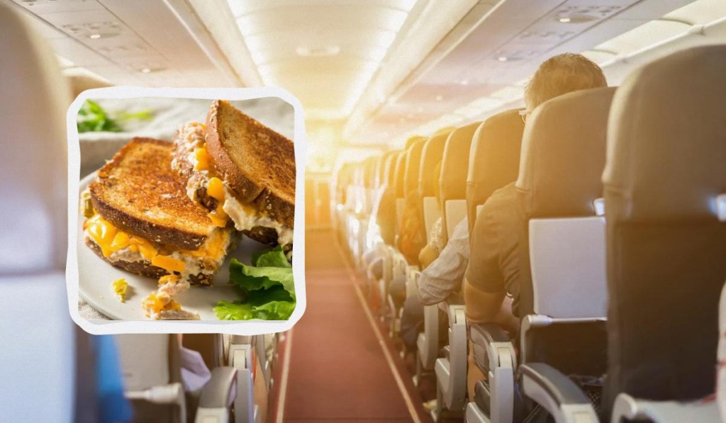 Стюардеса пояснила, чому пасажирам не варто брати свою їжу з дому в літак 1 Пасажирів закликають не брати "домашню" їжу в літак / колаж ТА