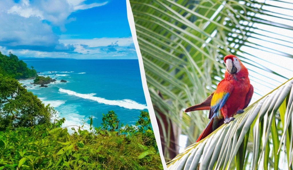 Коста-Ріка: півострів Оса Півострів Оса в Коста-Ріці – ідеальний напрямок для екотуризму у 2026 році