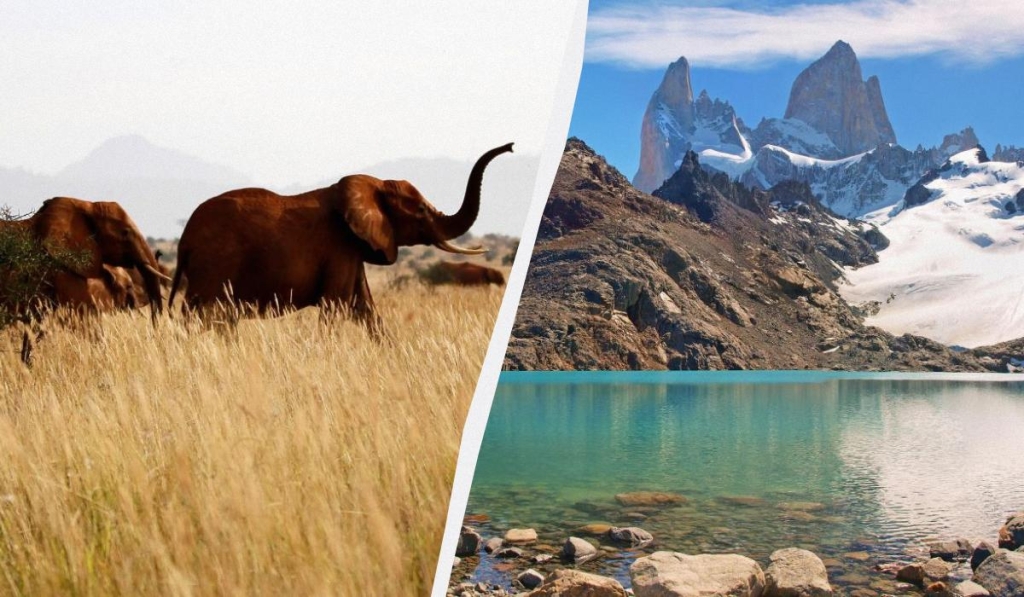 Туристам розповіли про подорожі, які краще бронювати на рік наперед 1 Поїздки на сафарі в Кенію або тур Патагонією вимагають тривалої підготовки / колаж ТА