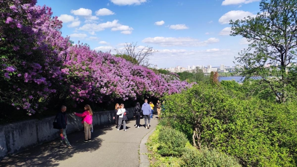 У київському ботсаду розпочався сезон цвітіння бузку – це не можна пропустити (фоторепортаж) 9 У київському ботсаду розпочався сезон цвітіння бузку – це не можна пропустити (фоторепортаж)