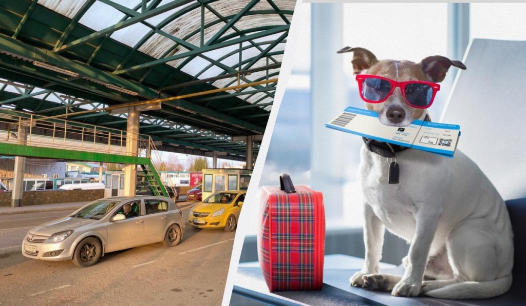 Українцям нагадали правила подорожей з домашніми улюбленцями за кордон 1 При подорожах з тваринами варто дотримуватися правил / колаж ТА