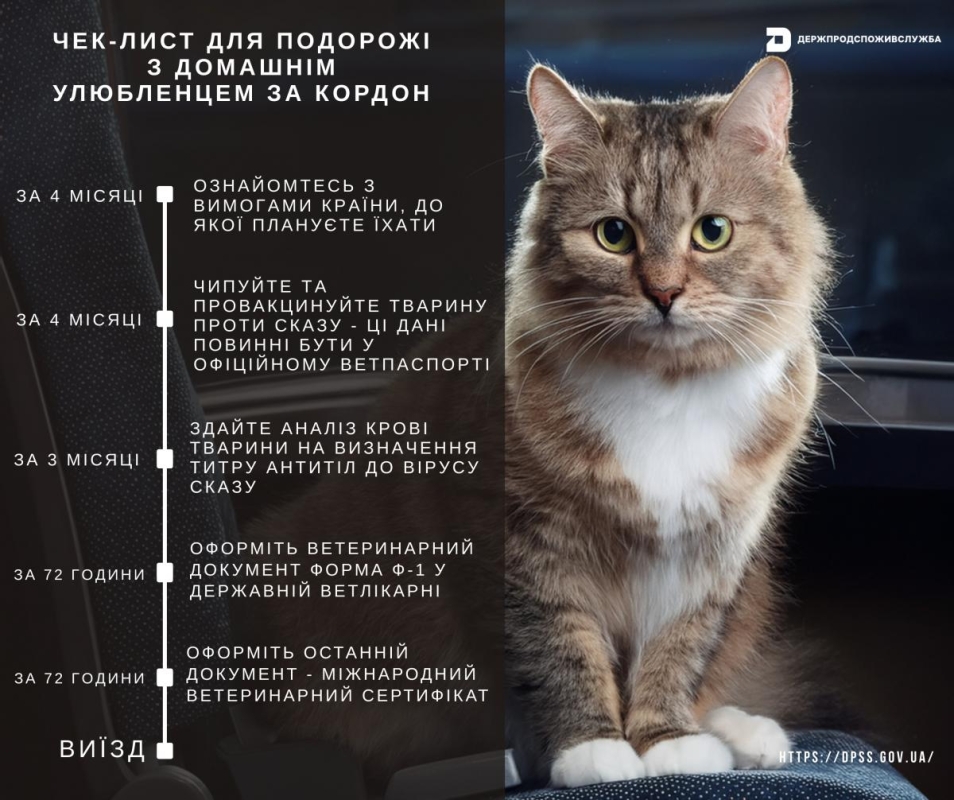 Українцям нагадали правила подорожей з домашніми улюбленцями за кордон 2 Чек-лист для подорожі з домашнім улюбленцем за кордон у 2025 році / фото dpss.gov.ua