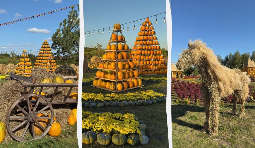 В "Добропарку" під Києвом з'явилася грандіозна гарбузова локація (фото, відео) 1 Гарбузи у "Добропарку" восени 2025 року / колаж ТА "Географія Туризму", фото facebook.com/dobropark.ua