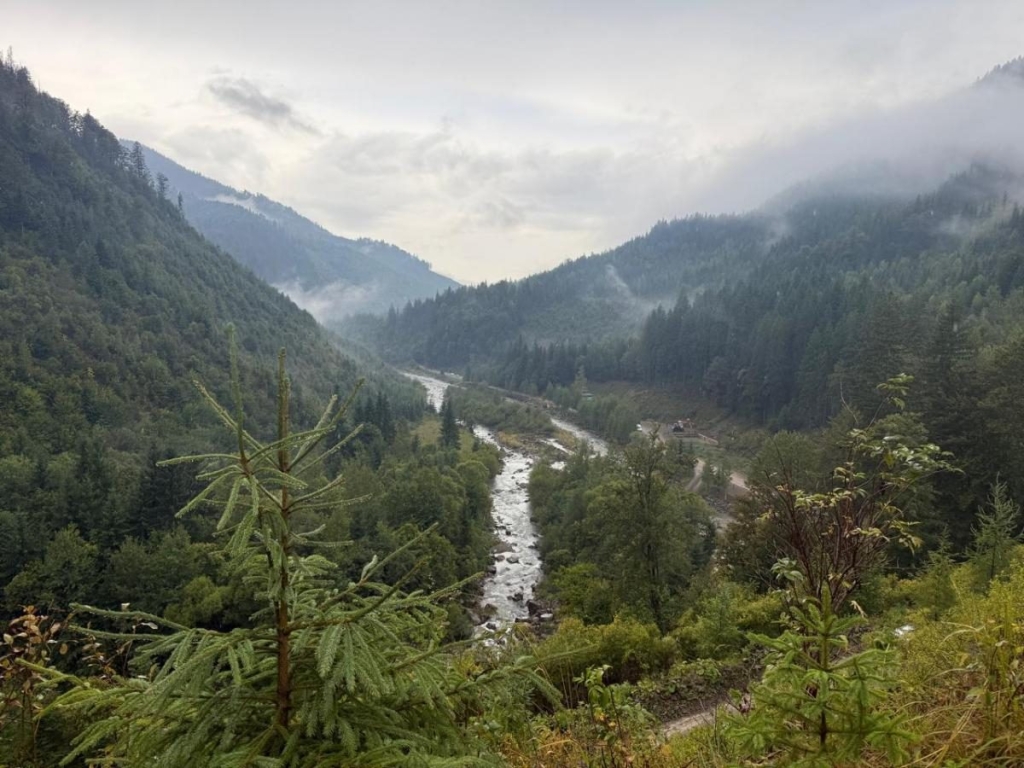 В Карпатах запустили новий туристичний маршрут, що з'єднає п'ять країн (фоторепортаж) 8 В Карпатах запустили новий туристичний маршрут, що з'єднає п'ять країн (фоторепортаж)