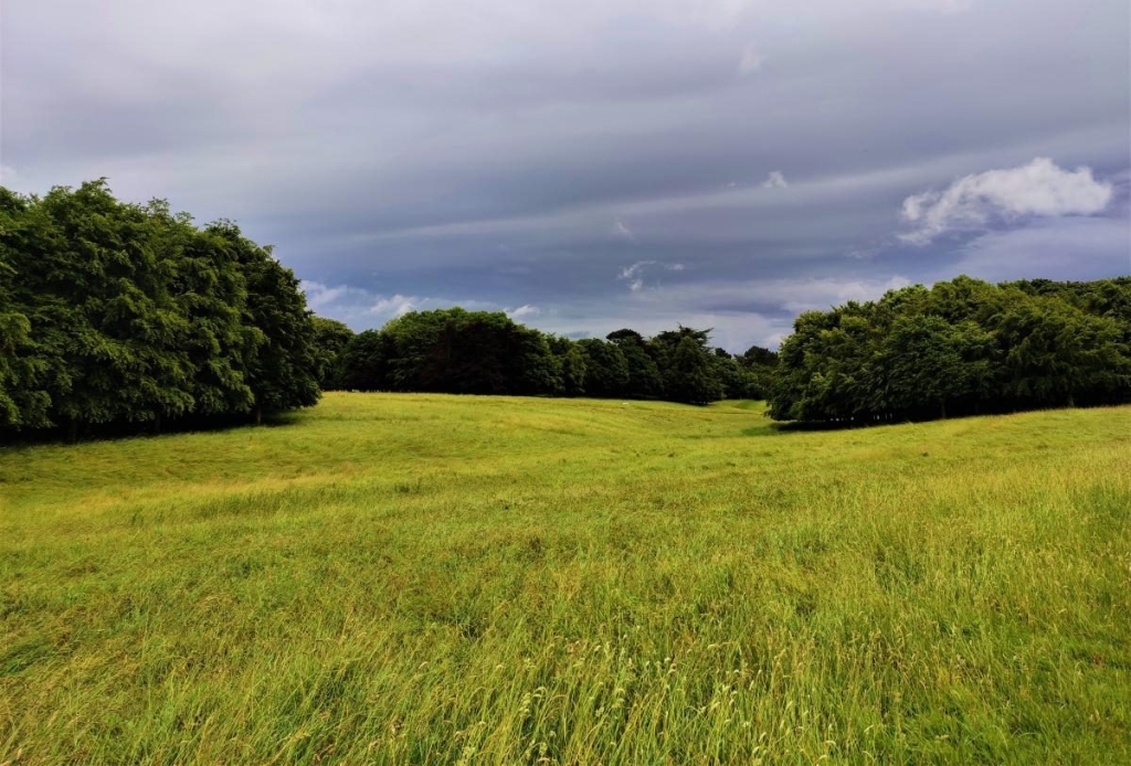 Від нічних вогнів Темпл-бару до "полювання" на оленів: чим вражає ірландський Дублін 75 Від нічних вогнів Темпл-бару до "полювання" на оленів: чим вражає ірландський Дублін